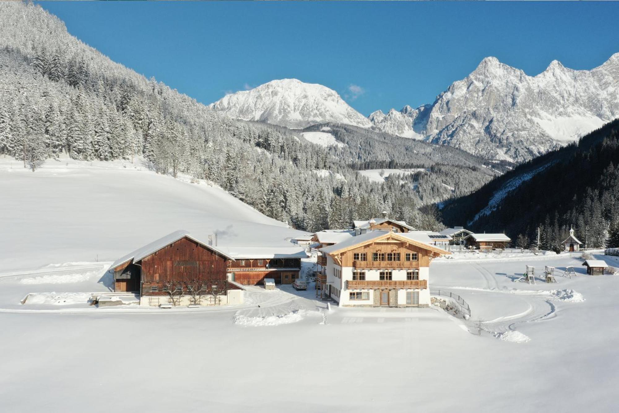 Ferienhaus Mandlberggut By Globboard Schladming Extérieur photo